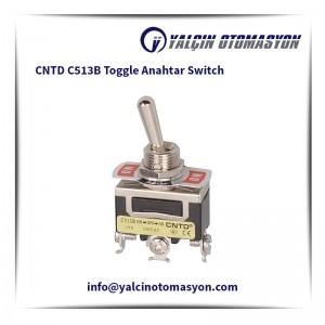 CNTD C513B Toggle Anahtar Switch