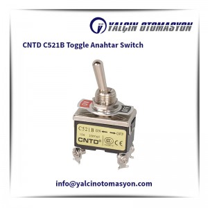 CNTD C521B Toggle Anahtar Switch