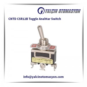 CNTD C5R12B Toggle Anahtar Switch